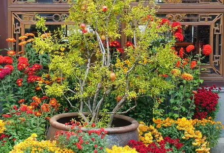 Lan Su Chinese Garden
