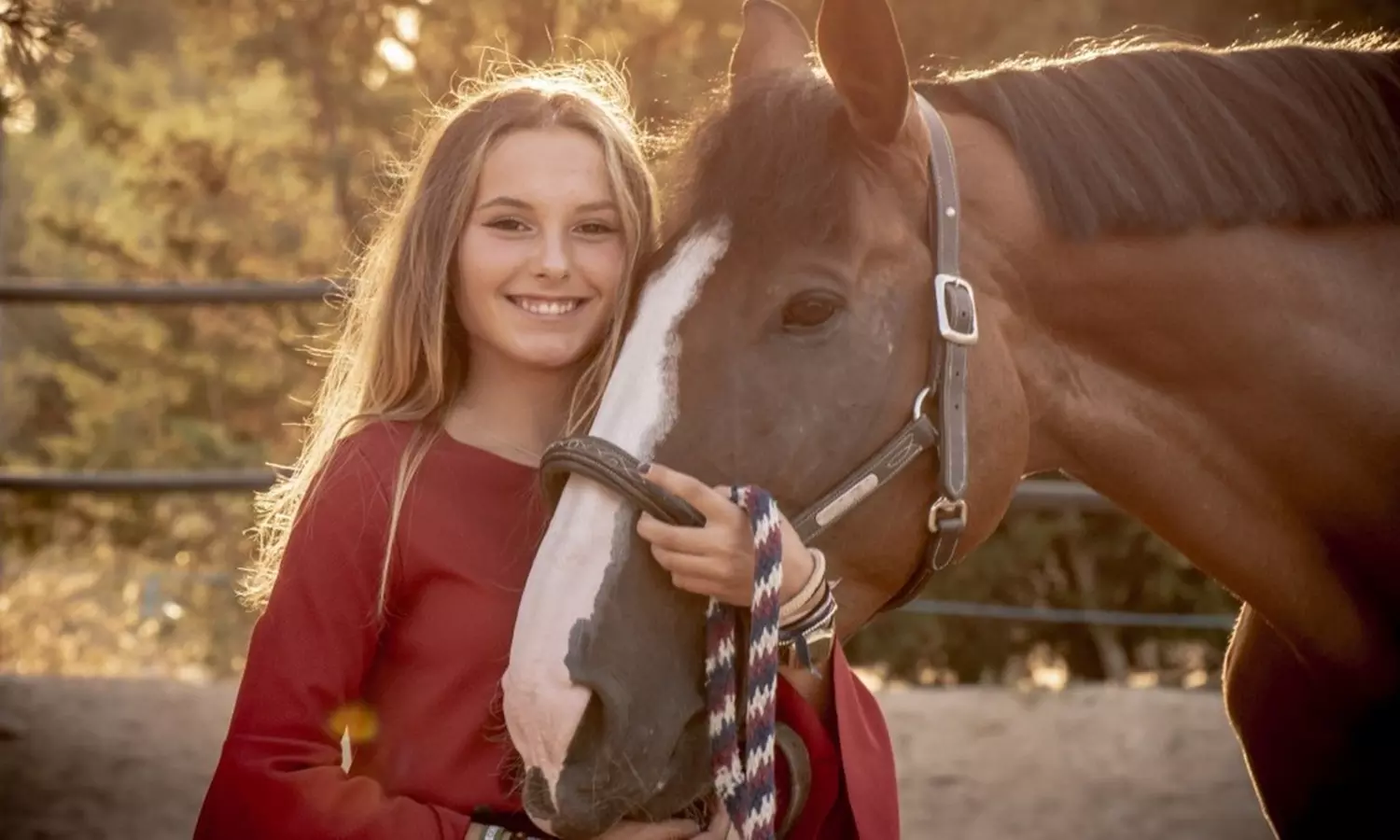 Sesión de estudio, exteriores o domicilio para 1 mascota con CD