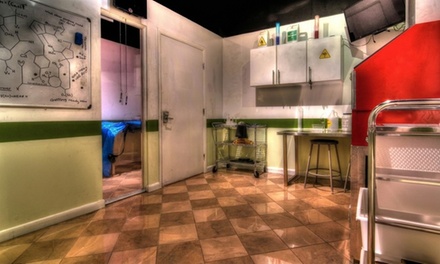 Private Escape Room Admission for 4, Valid Monday to Thursday - Escapology - Cypress