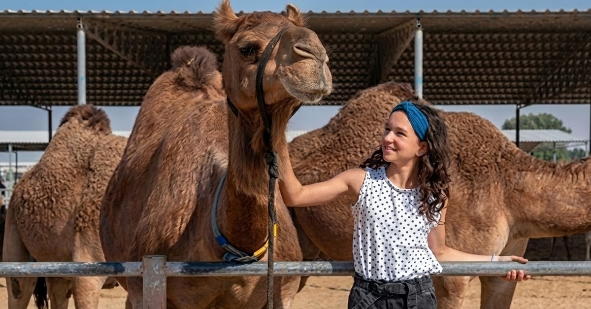 Camelicious Farm And Factory Tour With Camel Milk Tasting Camelicious Farm And Factory Tour With Camel Milk Tasting