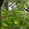 Image 2: Experience Wildlife - Admission to North Florida Wildlife Center
