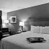 Image 12: Downtown Louisville Hotel with Free Breakfast & Pool