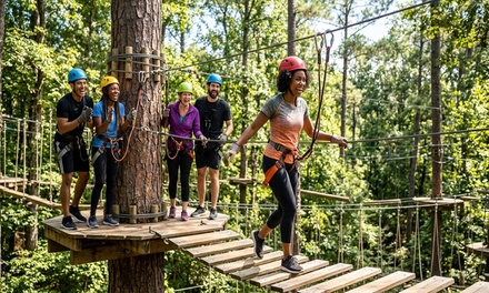 Aerial Adventure Park Admission with Gloves - For 2 People - Treetop Quest Dunwoody, GA