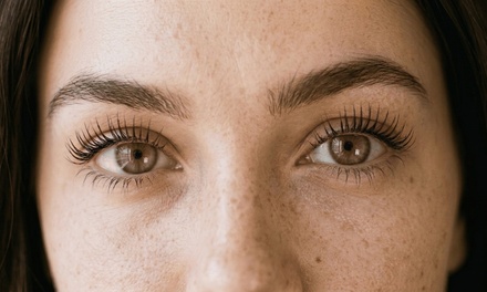 Signature Korean Keratin Lash Lift + Tint - Shego Studio