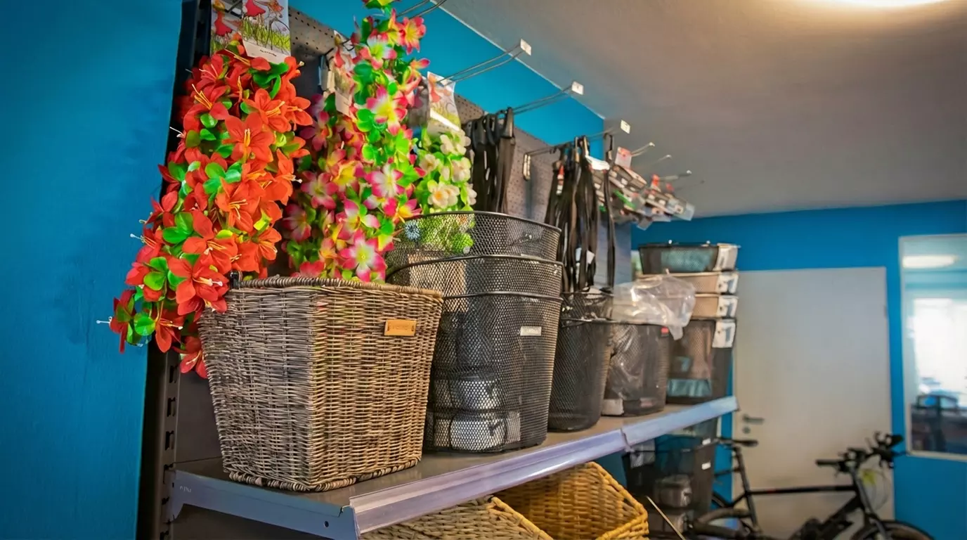 Fahrrad-Inspektion oder Reinigung für Fahrrad-, E-Bike- oder Lastenrad