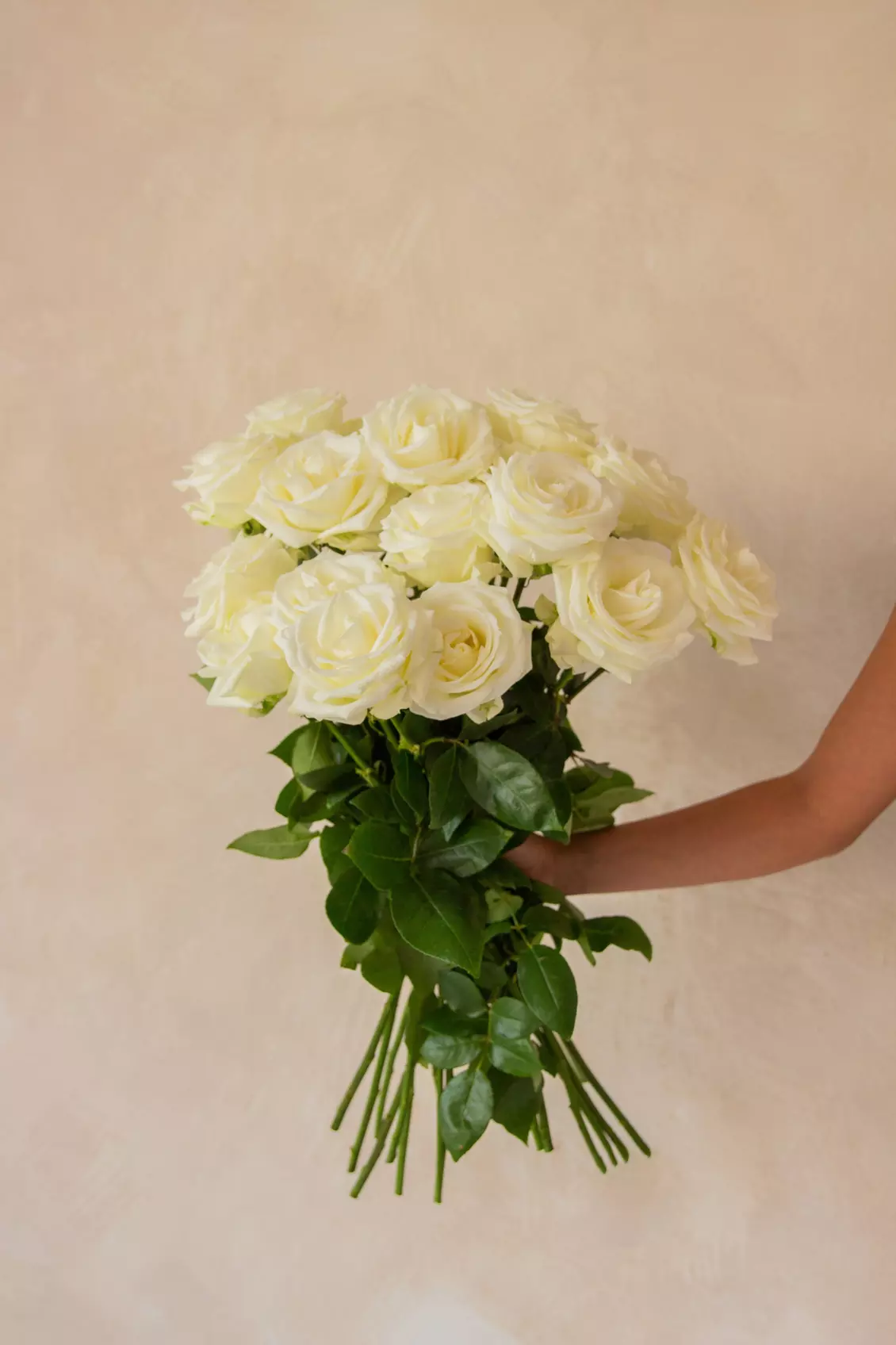 Fresh Roses Near Me Flower Delivery Near Me - save up to 50-90% | Groupon