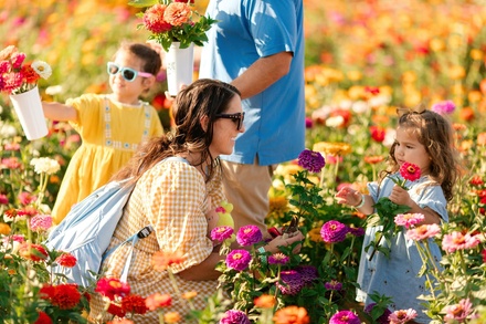 Admission to Fall Fest - For 2 to Fall Fest | Any Day in September - Shady Brook Farm