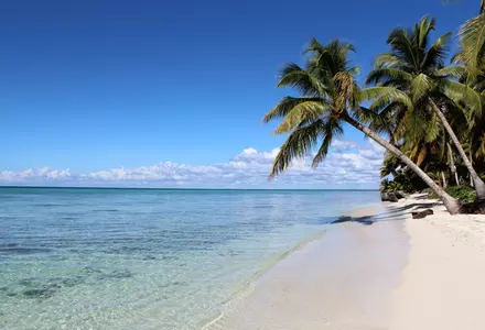 Saona Island