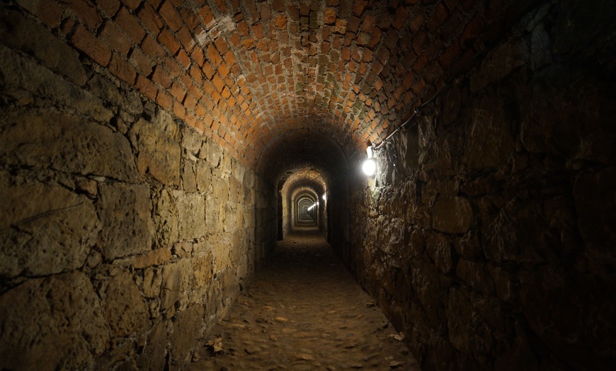 Image 7: Houston Tours - History, Space, & Underground Exploration