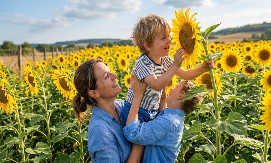 Image 6: U-Pick Sunflower Admission for One, a Mason Jar and Sunflowers