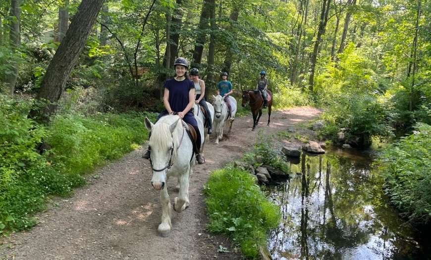 Image 4: Horseback Riding & Lessons – Loantaka Park Views in Morristown, NJ