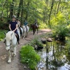 Image 4: Horseback Riding & Lessons – Loantaka Park Views in Morristown, NJ