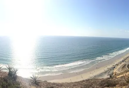 Torrey Pines State Natural Reserve