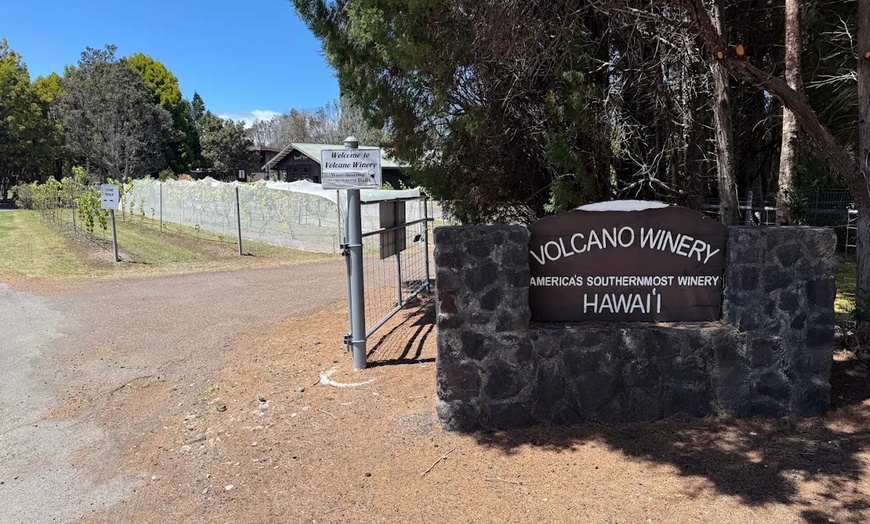 Image 6: Vineyard Tours with Wine and Tea Tastings in Scenic Setting