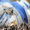 Image 3: Climbing Package for Up to 4 Children at Momentum Indoor Climbing Katy