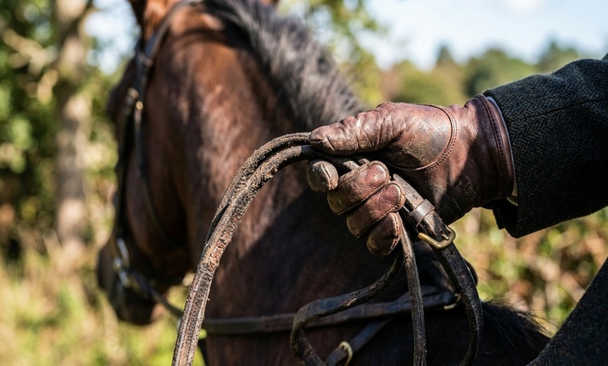 Image 7: Discover Family-Friendly Horseback-Riding Experiences For Everyone!