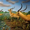 Image 5: Explore History, Art, Global Wildlife & Dinosaurs w/ Admission for 1-4