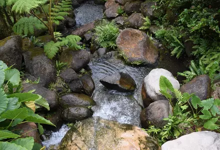 El Yunque National Forest