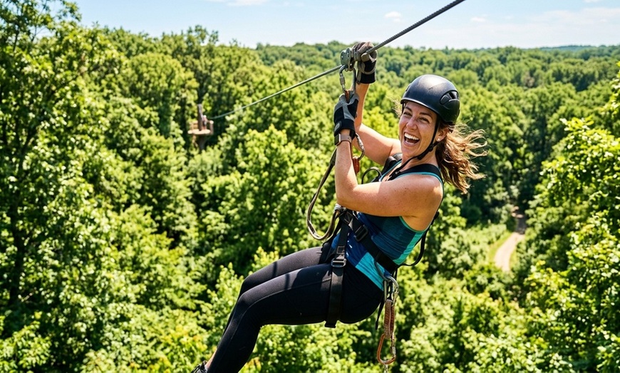 Image 4: Zipline Canopy Tours for Groups