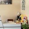 Image 3: Up to 44% Off on Couples Massage at Sunny Happy Massage