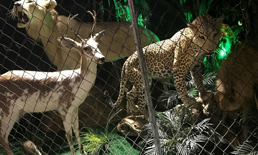 Image 5: Explore Oddities at the Museum with Admission for 3, 4, 5, or 6