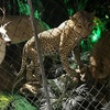 Image 5: Explore Oddities at the Museum with Admission for 3, 4, 5, or 6