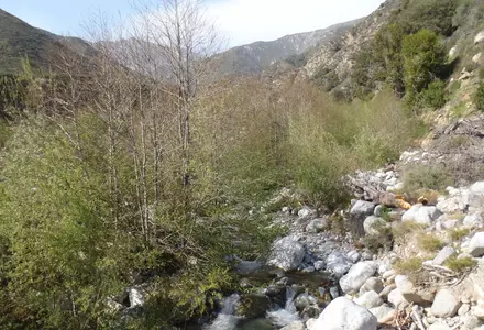 Etiwanda Falls