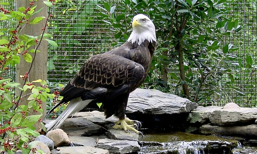 Image 3: Explore Wildlife and Nature Trails at Cedar Run Refuge