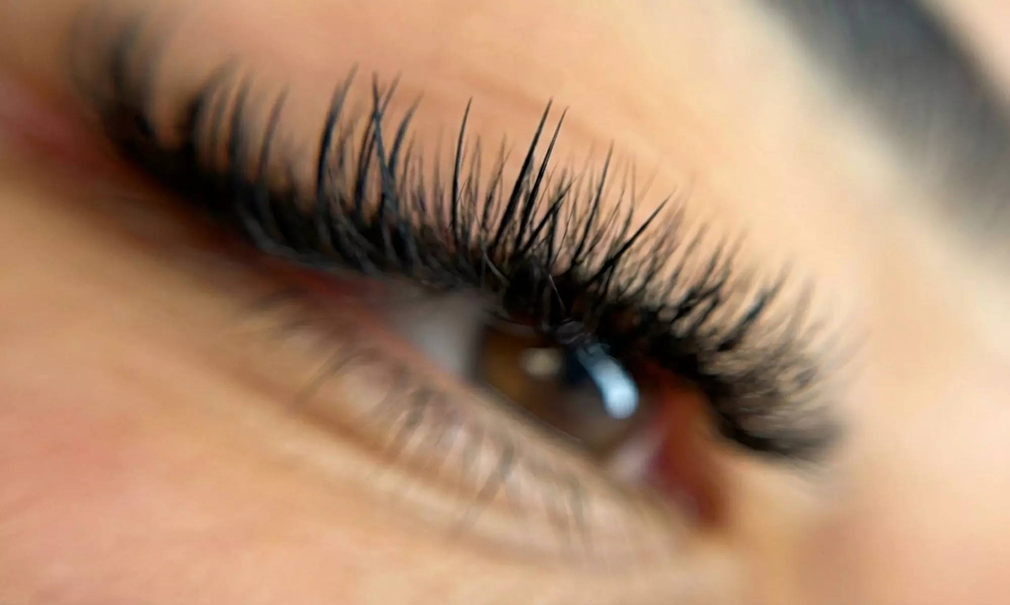 Get a Full Set of Lash Extensions with Optional Eyebrow Shaping