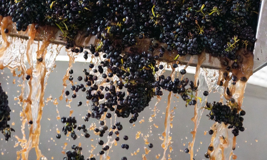 Image 6: Explore Wine Tasting and Charcuterie Pairing: Couples and Groups