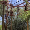 Image 7: Adventure Park Admission at CLAS Ropes Course