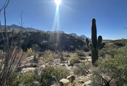 Catalina State Park