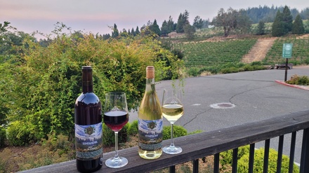 Solo Wine Experience: One Entry Ticket & One Bottle of Wine - Morton Family Cellars
