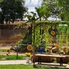 Image 4: Petting Zoo Admission Deals & Discounts