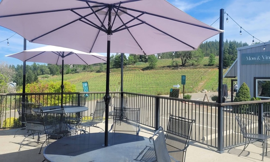 Image 9: Wine Tasting & Handcrafted Wines in a Historic Speakeasy for 1-6