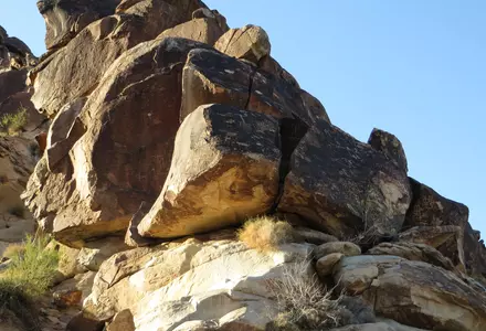 Grapevine Canyon Petroglyphs