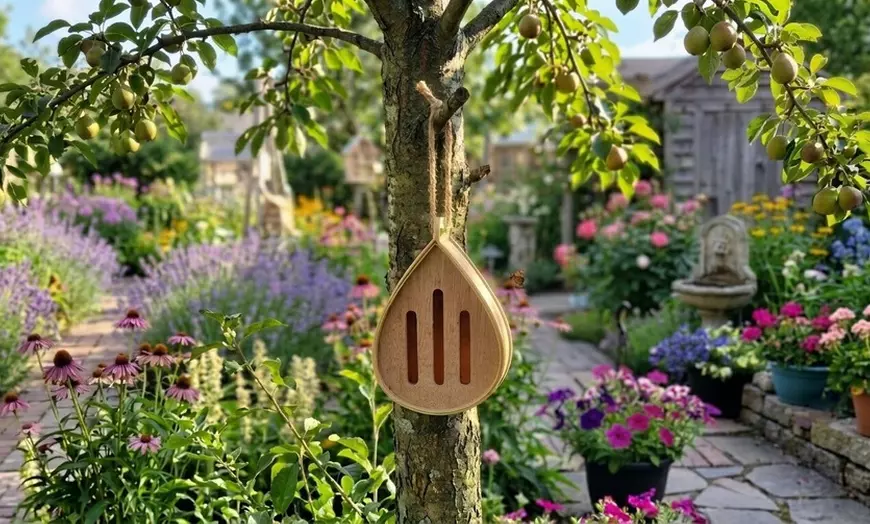 Butterfly House
