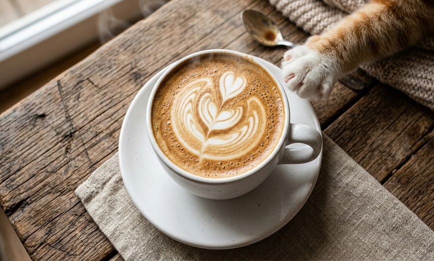 Image 5: Enjoy a Cozy Cat Lounge: One-Hour Admission in Farmington Hills