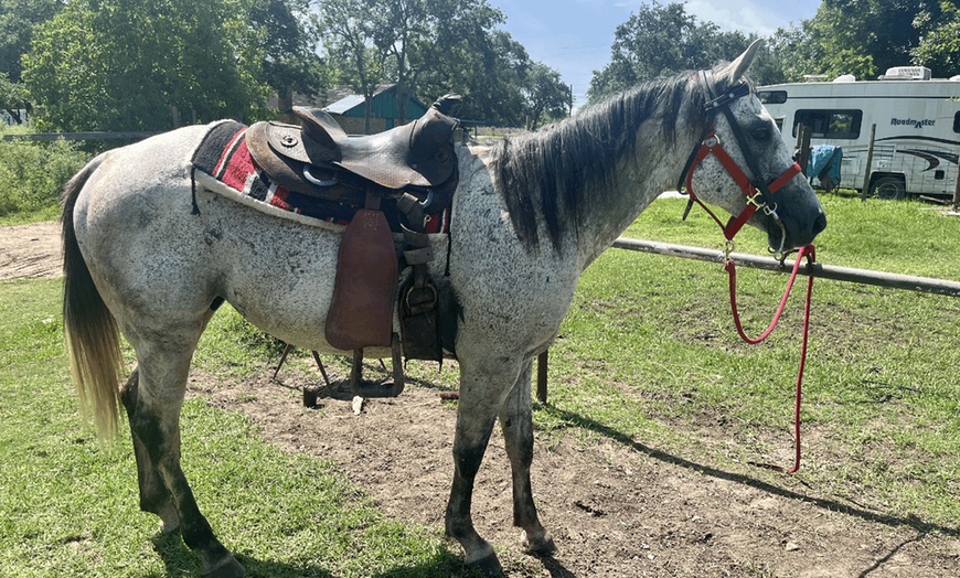 Image 5: Experience Horsemanship: Horse Lease Options at Legacy Acres