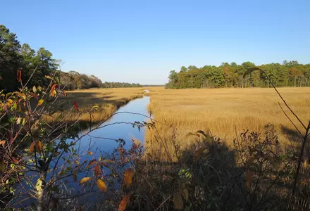Junction & Breakwater Trail