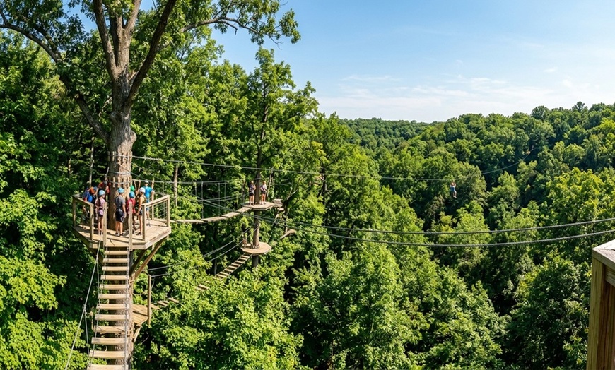 Image 2: Zipline Canopy Tours for Groups