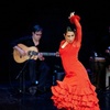 Image 1: Live Flamenco Performance and Three Course Dinner