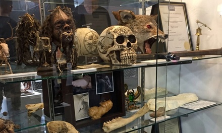 Single-Day Admission for Three - Museum Of The Bizarre