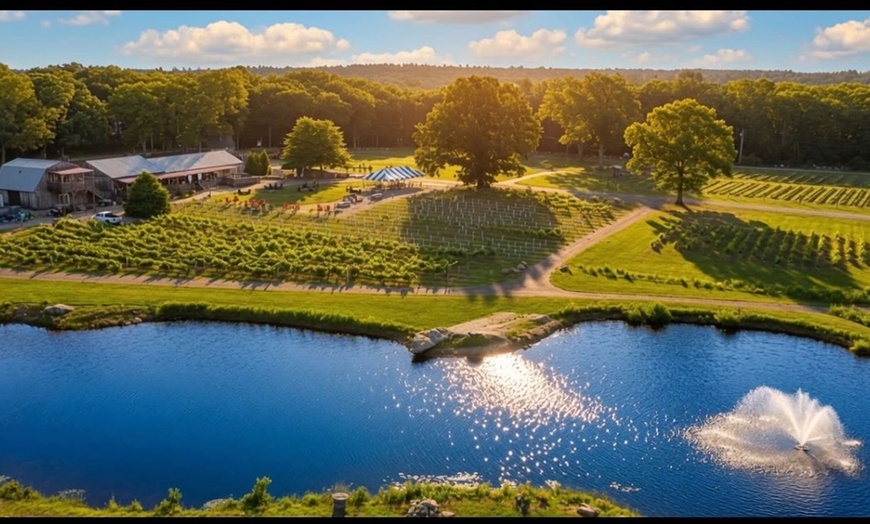 Image 3: Sip, Savor and Enjoy: Wine Tasting for 2 or 4 at Leyden Farm & Winery