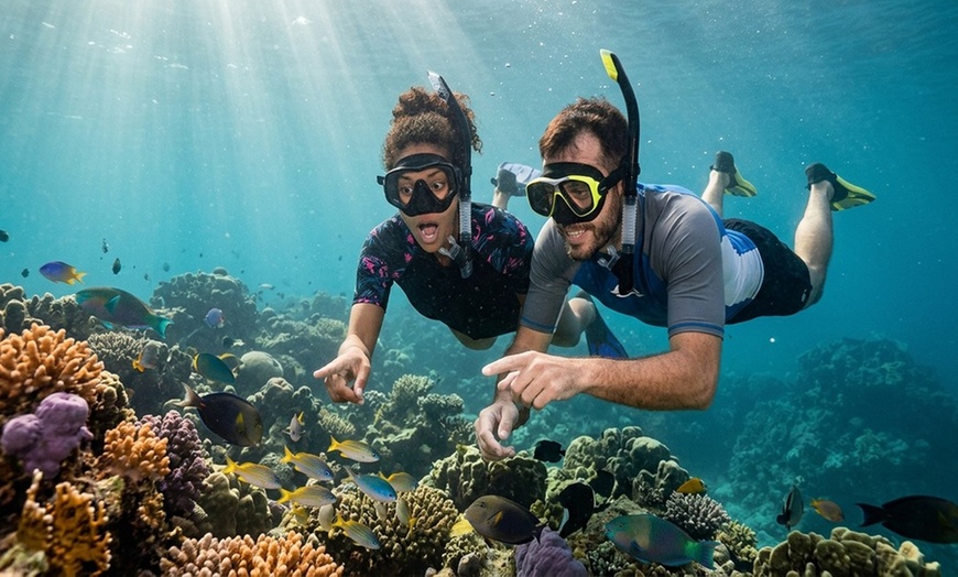 Image 6: 43% Off The Royal Garrafon Admission Package