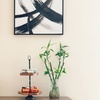 Image 5: Hinoki Head Spa & Scalp Water Therapy or Spa Package with Massage