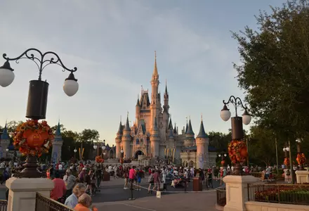 Magic Kingdom Park