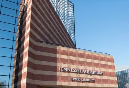 Tennessee Aquarium