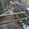 Image 4: Adventure Park Admission at CLAS Ropes Course