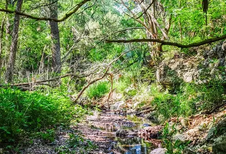 Mayfield Park and Nature Preserve